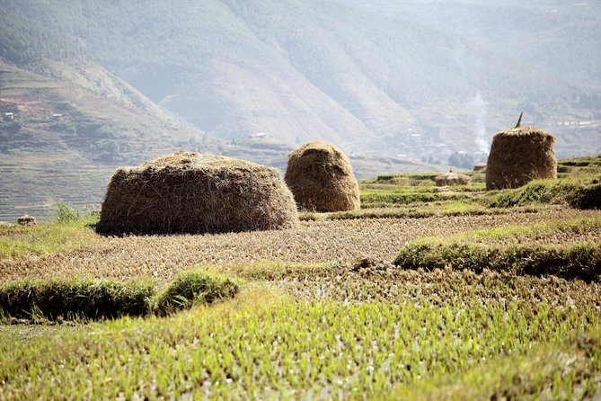 Bhutan Spiritual & Wellness Tour Package With Monastic Stay - Key highlights worth knowing