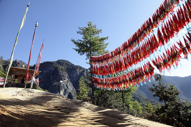 Bhutan Spiritual & Wellness Tour Package With Monastic Stay - Dochula Pass to Gangtey: the valley view day and the gentle start of monastery life