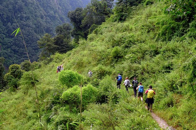 Chisapani - Nagarkot Trek Nepal - 3 Days - Gear, permits, and teahouse rhythm: what’s handled for you