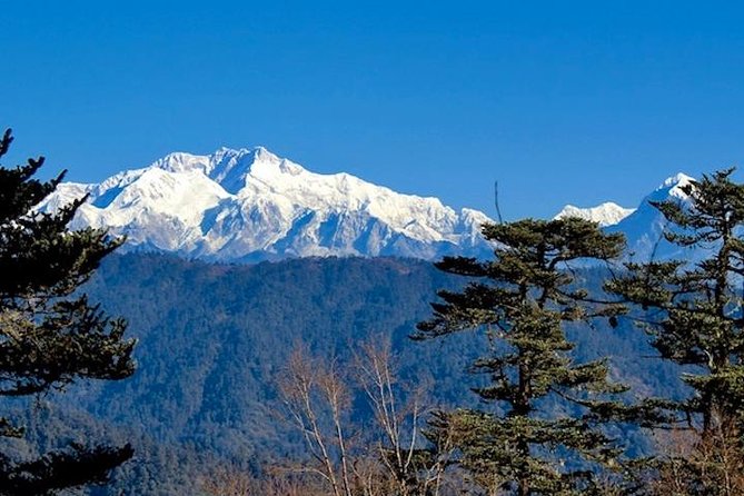 Darjeeling Tonglu Day Trek - Key things I’d watch for on this Tonglu day trek