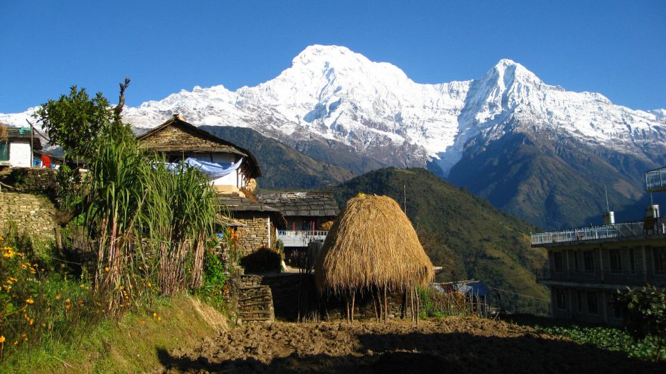 Day Hike at Annapurna Foothills - Australian Camp Ridge to Dhampus Village: the Gurung part you’ll feel