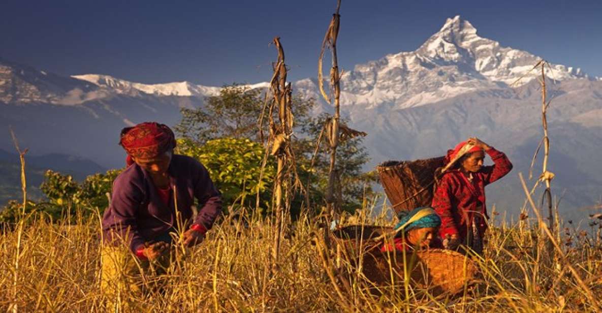 Day Hike at Annapurna Foothills - Guide quality, and why it matters more than you think
