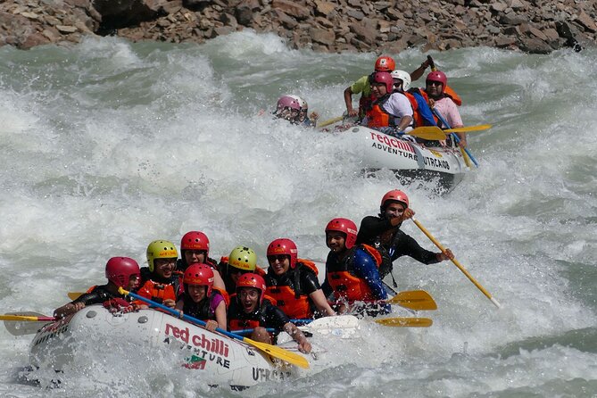 Day Rafting in Rishikesh- 16km - Key highlights at a glance