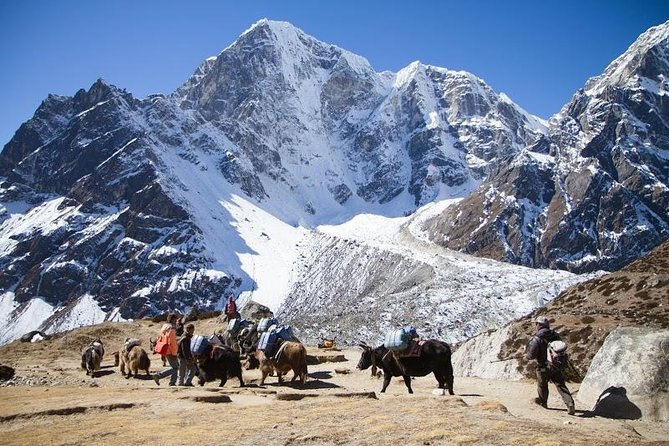 Everest Base Camp Trek with Helicopter Return to Lukla - 10 Days - Key Things To Know Before You Go