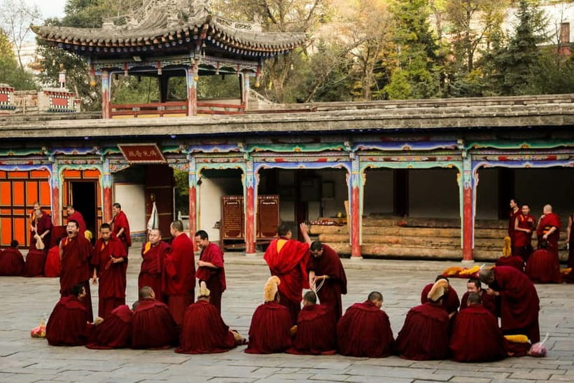 Explore Dharamshala's monasteries for Tibetan spirituality - Key highlights you’ll actually care about