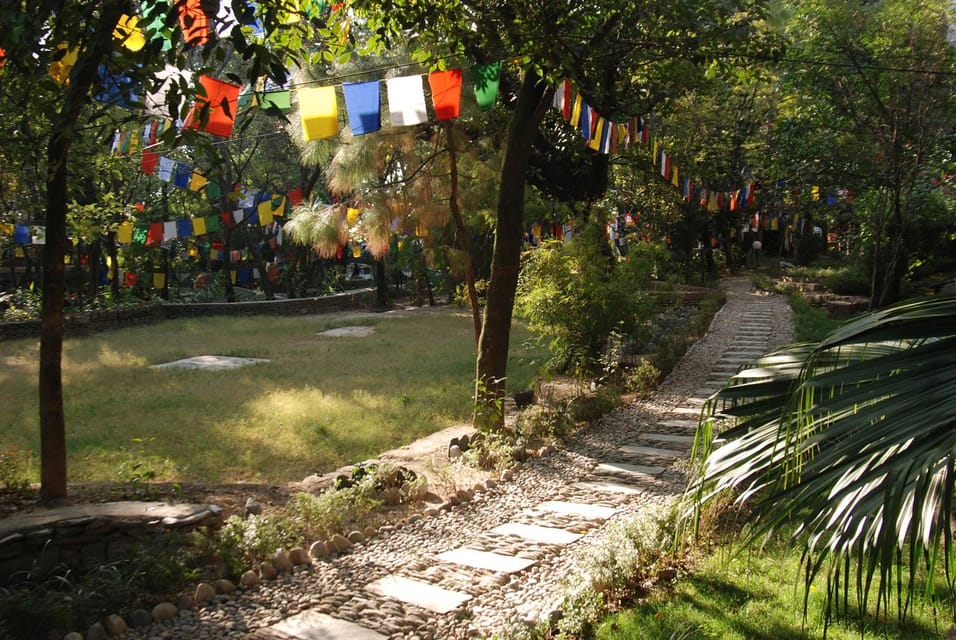 Explore Dharamshala's monasteries for Tibetan spirituality - Dip Tse Chok Ling Monastery: a quieter reset in nature