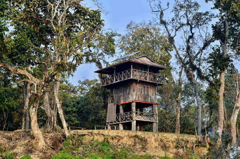 From Kathmandu/Pokhara: 2, 3, or 4-Day Chitwan Jungle Safari - How This Chitwan Safari Actually Works (And Why It’s Worth It)