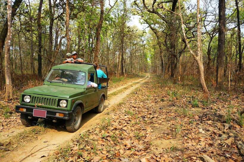 From Kathmandu/Pokhara: 2, 3, or 4-Day Chitwan Jungle Safari - Day 1: Arrival, Tharu Village, Sunset Culture, and Your First Night in Chitwan