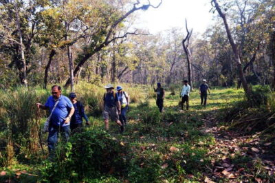 From Kathmandu/Pokhara: 2, 3, or 4-Day Chitwan Jungle Safari - Getting There: Kathmandu or Pokhara Transfers (Bus vs Private Car)