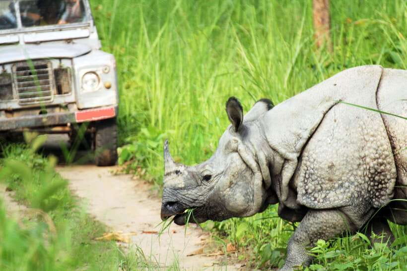 From Kathmandu/Pokhara: 2, 3, or 4-Day Chitwan Jungle Safari - Price and Value: Is $35 Per Person a Good Deal?