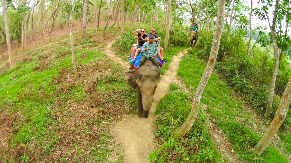 From Kathmandu/Pokhara: 3-Day All-Inclusive Chitwan Safari - Key Things You’ll Notice