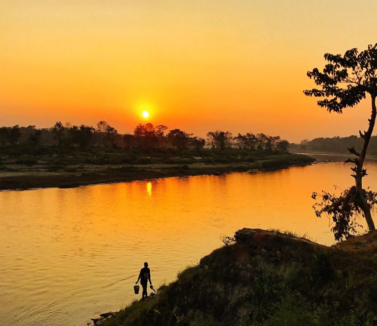 From Kathmandu/Pokhara: 3-Day All-Inclusive Chitwan Safari - Chitwan Safari: The Blend of Wildlife and Tharu Life