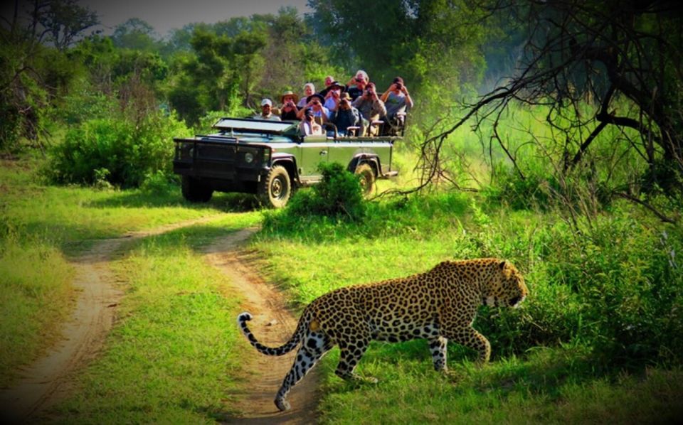 From Kathmandu/Pokhara: Private 3-Day Chitwan Safari Tour - Why a 3-day Chitwan tour hits the sweet spot