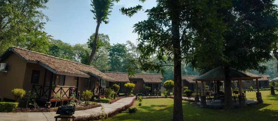 From Kathmandu/Pokhara: Private 3-Day Chitwan Safari Tour - Day 2: jeep safari for rhinos and the tiger chance