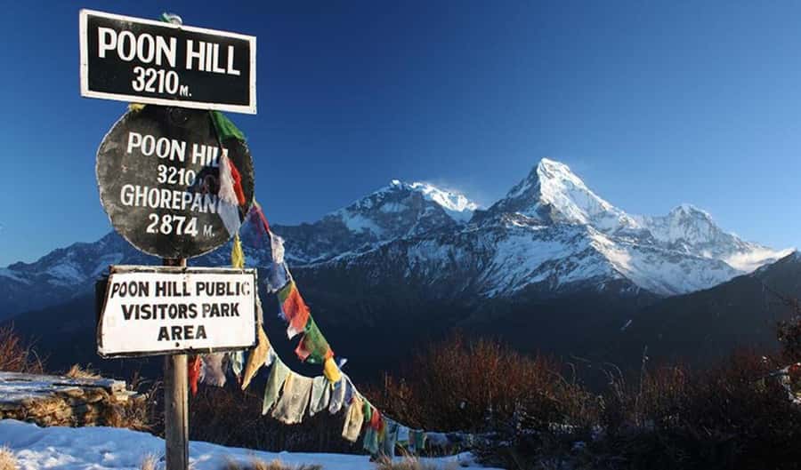From Pokhara: 3-Day Ghorepani Poon Hill Trek with Guide - Guides, Tea Houses, and How the Lodging Feels in Real Life