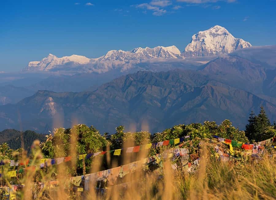 From Pokhara: 3-Day Ghorepani Poon Hill Trek with Guide - Price and Value: What $162 Covers (and How to Judge It)