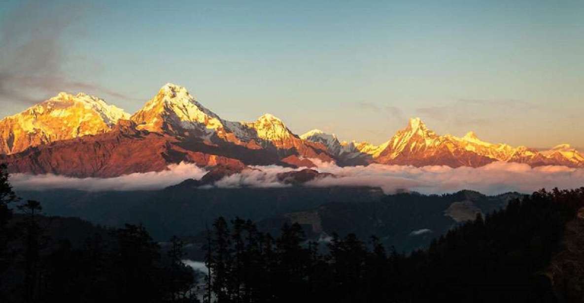 From Pokhara: 5-Day Annapurna Basecamp Trek with Hot Springs - The Pokhara start that makes the trek feel manageable