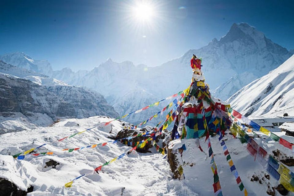 From Pokhara: 5-Day Annapurna Basecamp Trek with Hot Springs - Price and value: $155 is not about luxury, it’s about structure