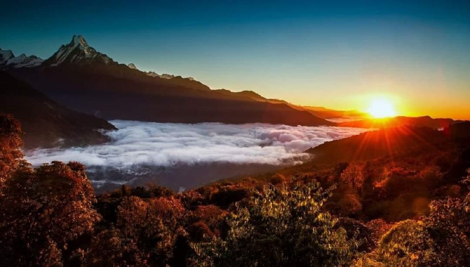 From Pokhara: 5-Day Annapurna Basecamp Trek with Hot Springs - Chomrong/Sinuwa to Deurali: forest climbs and your first altitude wake-up call