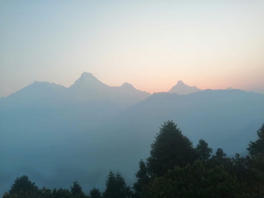 From Pokhara: Budget 2 Night 3 days Poon hill trek - Tadapani: Your First Teahouse Night Under the Mountains