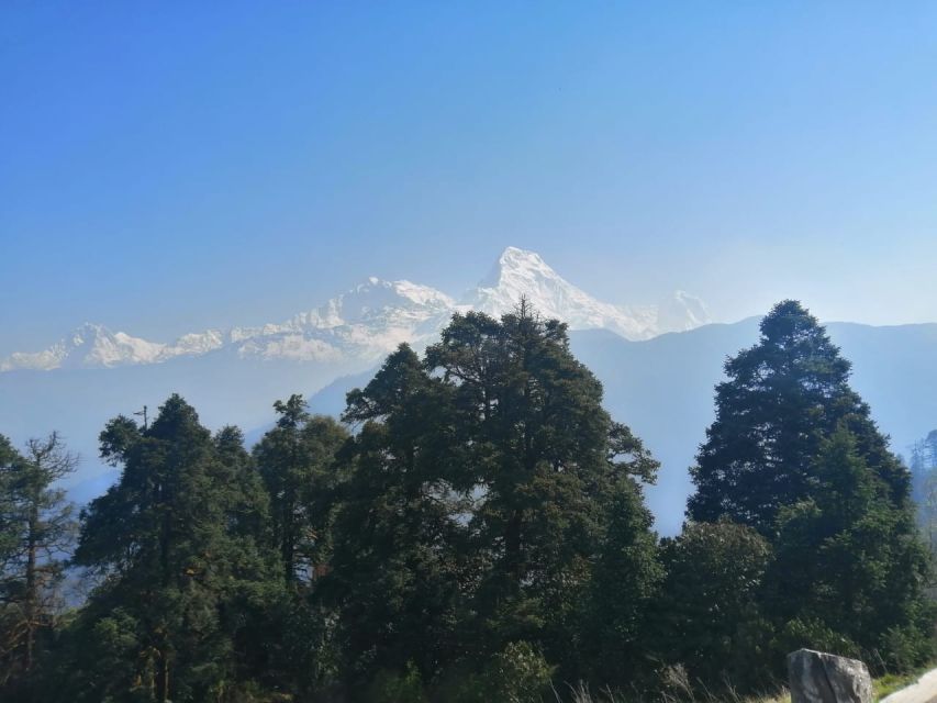 From Pokhara: Budget 2 Night 3 days Poon hill trek - Weather, Seasons, and the Packing Reality