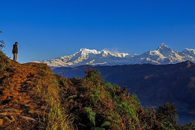 Full Day Car Drive to Explore Places of Interest of Pokhara - Key Things You’ll Care About Most on This Pokhara Sight Drive