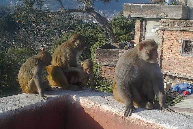 Full Day Kathmandu City Sightseeing Tour of UNESCO Heritage Sites - Guide Quality and Why It Shows in the Experience