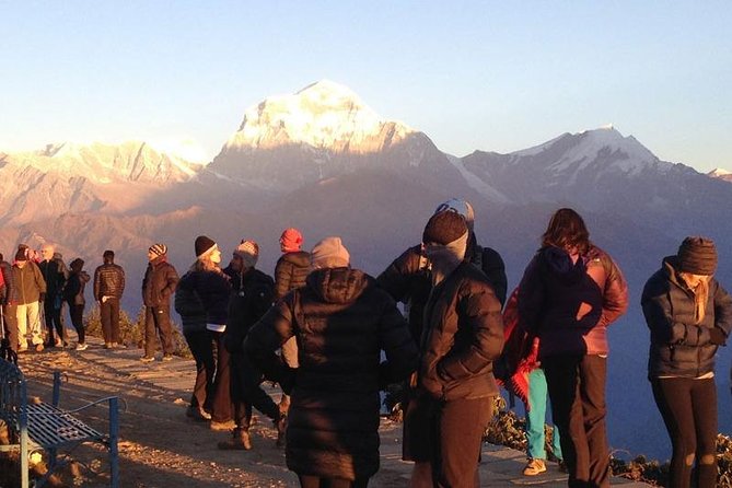 Ghorepani Poon Hill Trek - Frolic Adventure logistics: transport, lodges, and small-group pacing