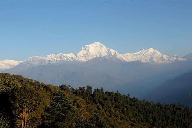 Ghorepani Poon Hill Trek - Day 2: Nayapul/Birethanti to Ulleri and your first real rhythm