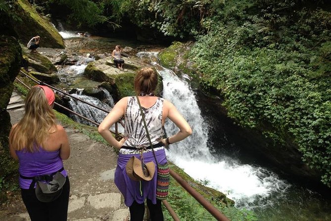Ghorepani Poon Hill Trek - Day 3: Ulleri to Ghorepani via Banthanti forests