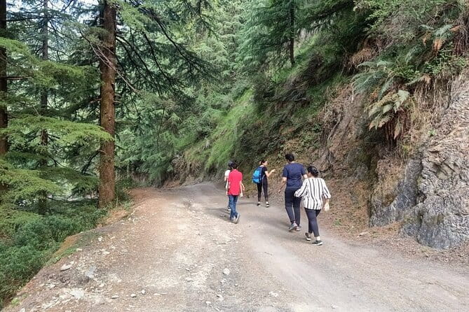 Guided Kora Circuit & Walking Tour Around McLeod Ganj - The price ($31) and what you’re really getting for your time