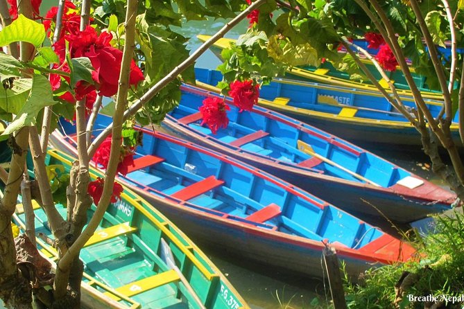 Half-Day Private Pokhara Tour - Price and Value: What You’re Paying For (and What You Still Need)