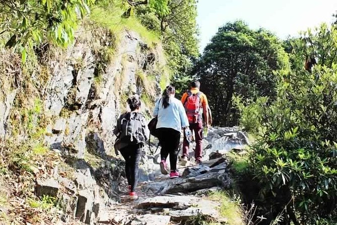 Hiking Day Tour to Triund from Dharamshala - Triund From McLeod Ganj: Why This 7-Hour Day Feels Like a Mini Adventure