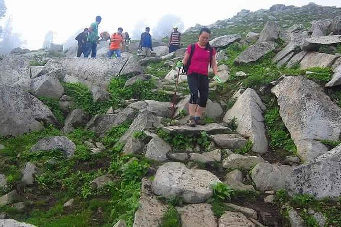 Hiking Day Tour to Triund from Dharamshala - The Steep Ascent to Triund: What Your Legs Should Expect