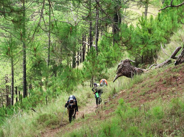 Hiking Day Tour to Triund from Dharamshala - Triund Alpine Meadow: Views Over Dhauladhars and Kangra Valley