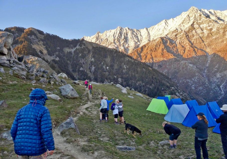 Hiking Day Tour to Triund from Dharamshala - Guide Quality That Changes the Whole Experience