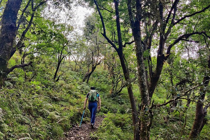 Kaflani Day Hike - Mussoorie - Your Start at Antara Palace: What the 2–3 Hour Flow Looks Like