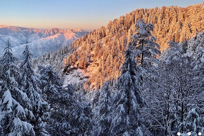 Kaflani Day Hike - Mussoorie - On the Trail: Forest Walking, Uphill Bits, and Story Stop Details