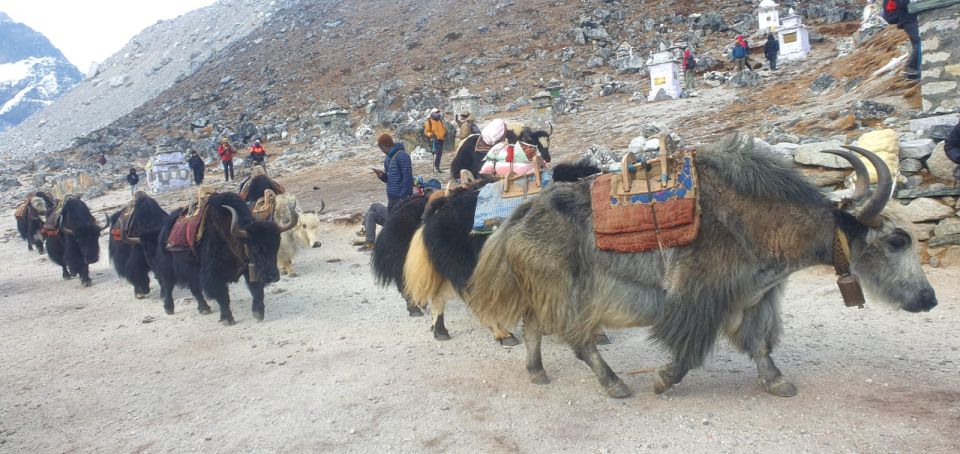 Kathmandu: 14-Day Everest Base Camp with Kala Patthar Trek - Phakding to Namche Bazaar: the warm-up that isn’t optional