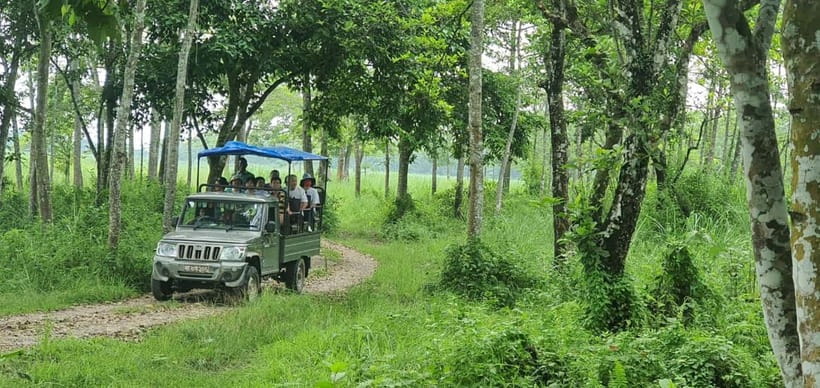 Kathmandu: 3-Day Chitwan Safari Tour with Hotel Transfers - Day 3: early breakfast and the return to Kathmandu