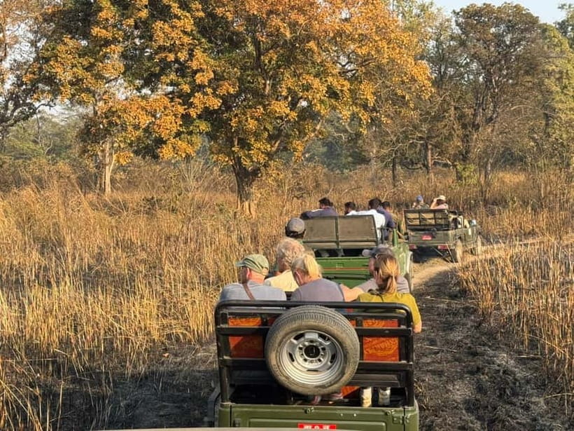 Kathmandu: 3-Day Chitwan Safari Tour with Hotel Transfers - Price and value: why $151 can make sense