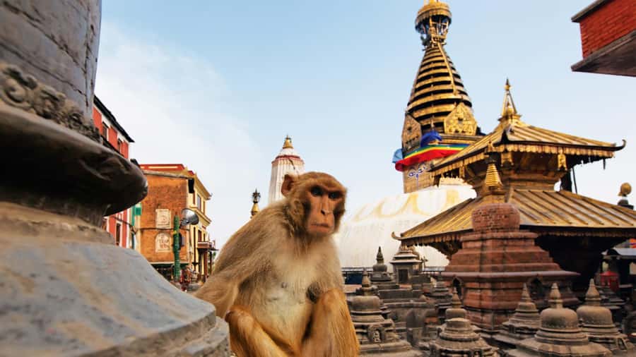 Kathmandu: Full-Day Budget Bus Tour of Kathmandu Valley - Kathmandu Valley on a budget bus: what you’re really buying