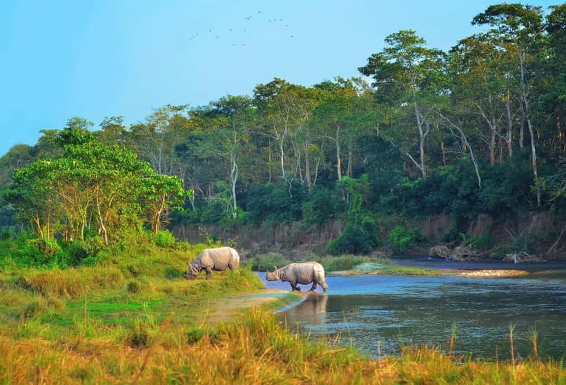 Kathmandu/Pokhara: 3 Day Chitwan Jungle Safari Tour - Getting to Chitwan from Kathmandu or Pokhara: the part you should plan for