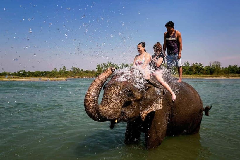 Kathmandu/Pokhara: 3 Day Chitwan Jungle Safari Tour - Where you sleep and eat: jungle lodge comfort with a few real-world quirks