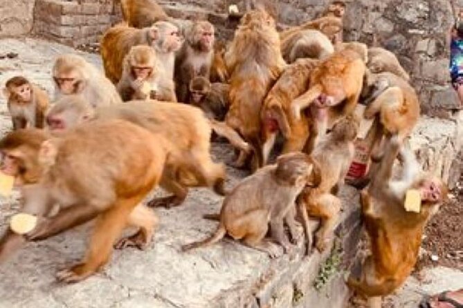 Kathmandu Private Sightseeing Tour | UNESCO World Heritage Sites - Patan Durbar Square: a calmer pace inside Kathmandu Valley’s core