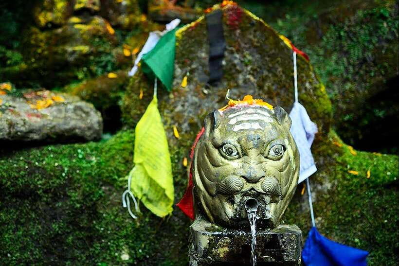 Kathmandu: Shivapuri Day Hike with Lunch - Why Shivapuri works so well as a one-day nature reset