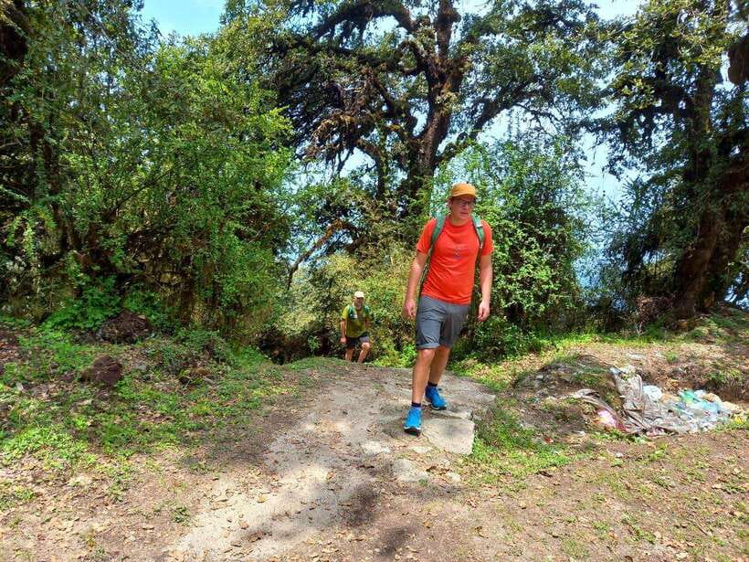 Kathmandu: Shivapuri Day Hike with Lunch - The hike itself: steep steps, smart pacing, and a summit payoff