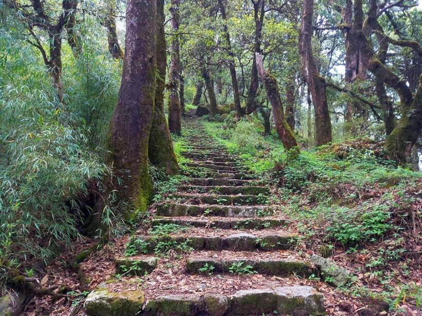 Kathmandu: Shivapuri Day Hike with Lunch - Birds, animals, and hidden waterfalls you might spot along the way