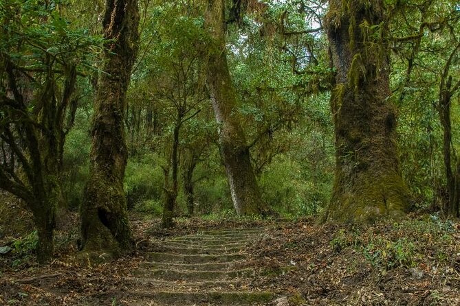 Kathmandu Shivapuri National Park and Nagarkot Hiking - 3 Days - Shivapuri National Park hiking: easy pace, real jungle, and Langtang views