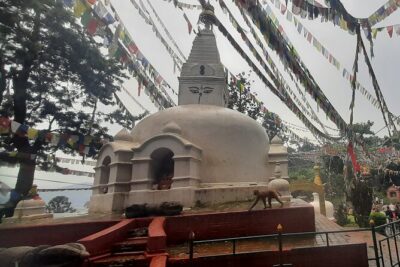 Kathmandu Top 4 or 2 UNESCO World Heritage Sites Day Tour - Door Pickup, Private Group Vibe, and the Real Meaning of 5–7 Hours
